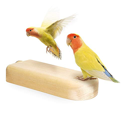 Niteangel Birchwood Bird Perch Stands for Parrot Conures Cockatiels Parakeet - Wooden Birdcage Entertainment Platform Toys