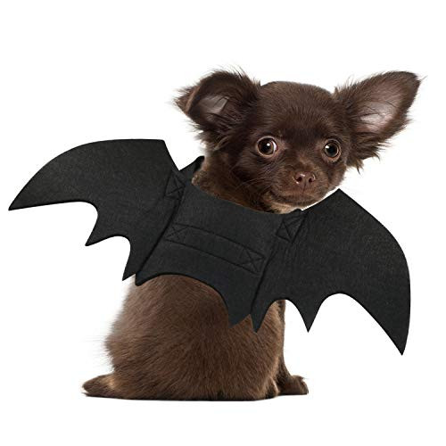 RYPET Cat Bat Costume - Halloween Pet Costume Bat Wings Cosplay Dog Costume Cat Costume for Party XS