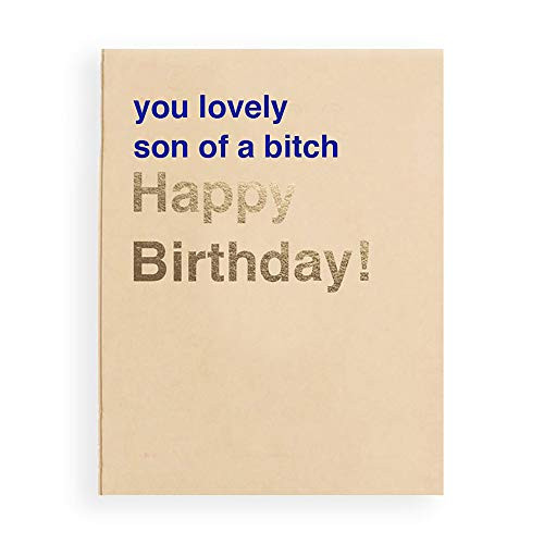 Funny Inappropriate Birthday Card You Lovely Son of a B Happy Birthday A2 Tan Blank Inside With Envelope
