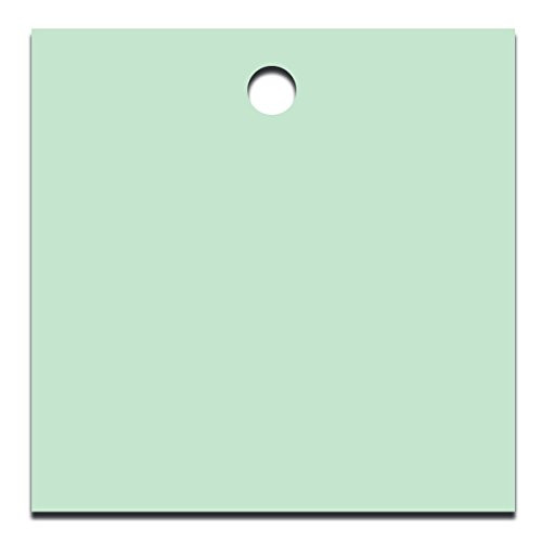 Accuform TDG226WT Accu-Ply Plastic Blank Identification Tag Square 1-12 W x 1-12 L White Pack of 25
