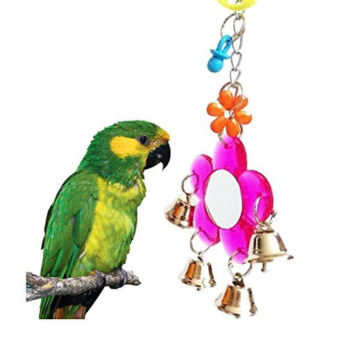Hypeety Pet Bird Mirror with Bell Interactive Parrot Toy for Parrot Macaw African Greys Budgies Cockatoo Parakeet Cockatiels Conure Lovebird Cage Bells Mirror B Hypeety Pet Bird Mirror with Bell Interactive Parrot Toy for Parrot Macaw African Greys Budgies Cockatoo Parakeet Cockatiels Conure Lovebird Cage Bells Mirror B