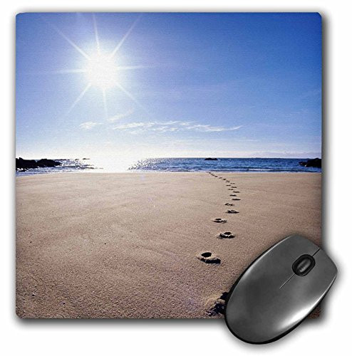 3dRose LLC 8 x 8 x 0.25 Inches Mouse Pad, Footprints in S and , Abel Tasman National Park-Au01 Dwa2064 - David Wall (mp_72204_1)