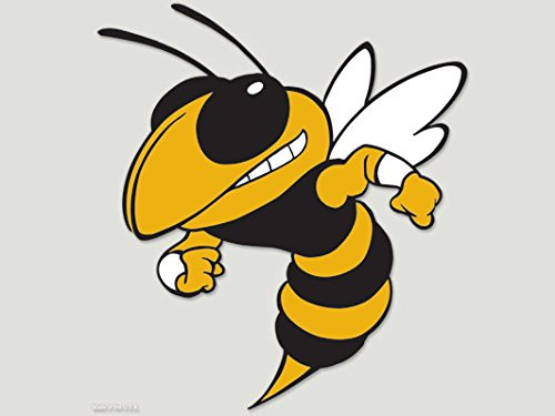 WinCraft NCAA Georgia Tech Perfect Cut Color Decal 8 x 8
