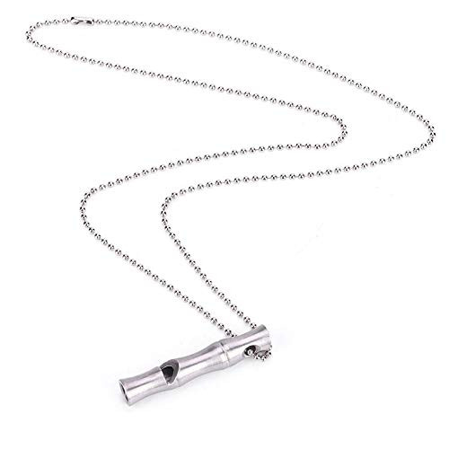 Bnineteenteam Emergency WhistleStainless Steel Survival Whistle with Keychain for Emergency Survival for Life Saving Hiking Camping