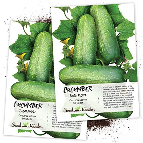 Seed Needs Bush Pickle Cucumber Cucumis sativus Twin Pack of 90 Seeds Each Seed Needs Bush Pickle Cucumber Cucumis sativus Twin Pack of 90 Seeds Each