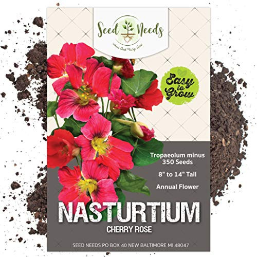 Seed Needs Cherry Rose Nasturtium Tropaeolum Minus Bulk Pack of 350 Seeds