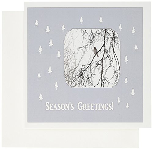 3dRose Sparrow in the Winter Seasons Greetings Pale Blue Frame with Trees - Greeting Cards 6 x 6 inches set of 6 gc-62792-1