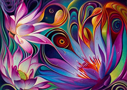 DIY 5D Diamond Painting by Number Kits Full Drill Crystal Rhinestone Diamond Embroidery Paintings Pictures Arts Craft for Home Wall Decor 30x40CM D DIY 5D Diamond Painting by Number Kits Full Drill Crystal Rhinestone Diamond Embroidery Paintings Pictures Arts Craft for Home Wall Decor 30x40CM D