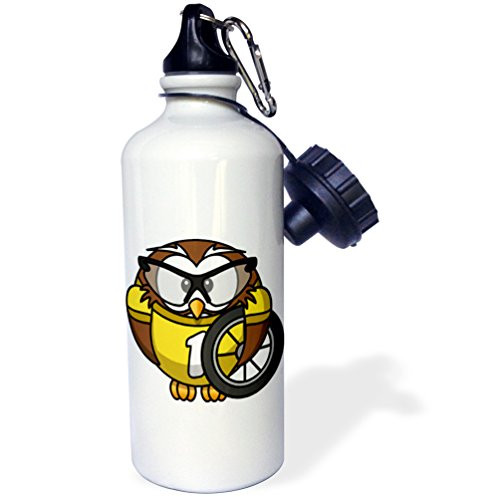 3dRose wb_204308_1 Print of Retro Native American Doll Sports Water Bottle 21 oz Multicolored