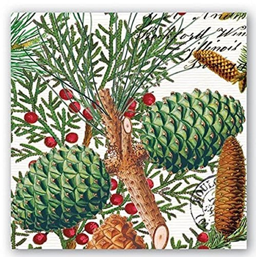 Michel Design Works 20-Count 3-Ply Paper Cocktail Napkins Spruce