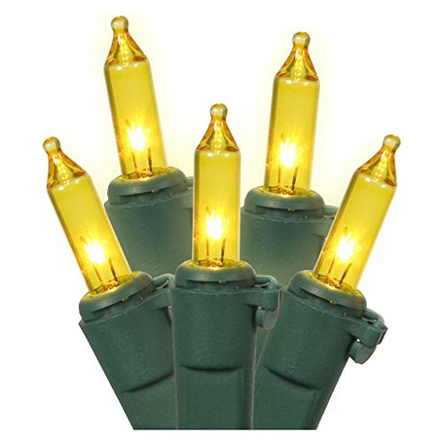 Vickerman 50 Light Gold Mini Light Set on Green Wire