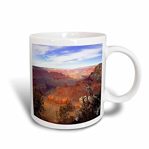 3dRose mug_57600_5 "Grand Canyon Arizona" Two Tone Red Mug, 11 oz, Multicolor