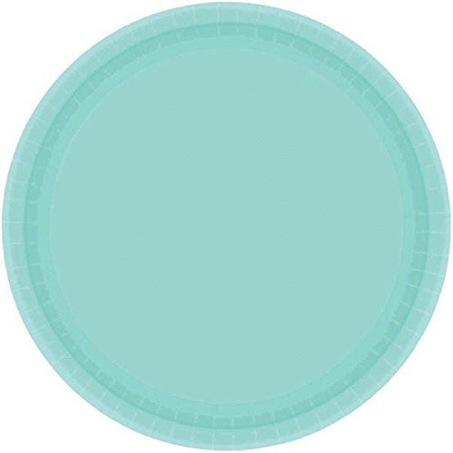 Robin's-Egg Blue Round Dinner Paper Plates, 20 Ct. | Party Tableware