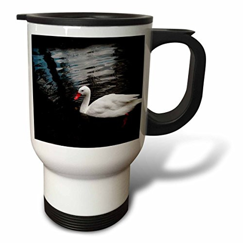 3dRose Gray Squirrel Travel Mug, 14-Ounce, Stainless Steel