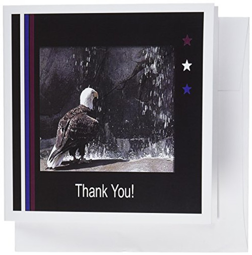 3dRose Thank you, Eagle by Waterfall - Greeting Cards, 6 x 6 inches, set of 6 (gc_40483_1) 3dRose Thank you, Eagle by Waterfall - Greeting Cards, 6 x 6 inches, set of 6 (gc_40483_1)