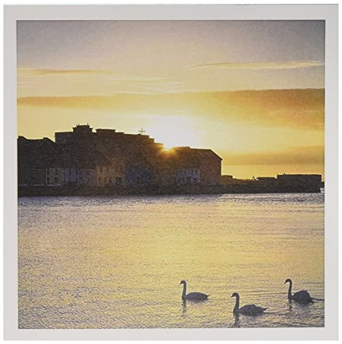 3dRose Ireland Claddagh Galway Bay Swans Sunrise - Greeting Cards 6 x 6 Set of 6 gc-81972-1