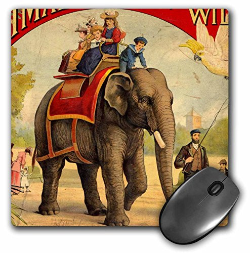 3dRose LLC 8 x 8 x 0_25 Inches Mouse Pad Elephant and Children Girl in The Garden mp-62718-1