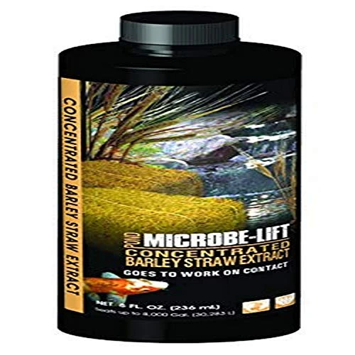 Microbe Lift 8-Ounce Pond Concentrated Extract Barley Straw MLCBSE250
