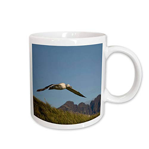 3dRose South Georgia Island Prion Wandering Albatross Bird, Ceramic Mug, 11-Oz