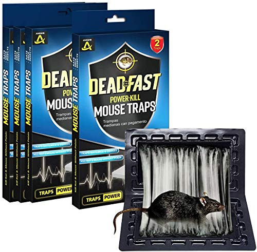 AWESMR Baited Rat Mouse and Insect Glue Traps Professional Strength Black- 8 Packs
