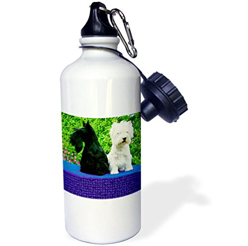 3dRose wb_507_1 Shih Tzu Sports Water Bottle, 21 oz, White 3dRose wb_507_1 Shih Tzu Sports Water Bottle, 21 oz, White