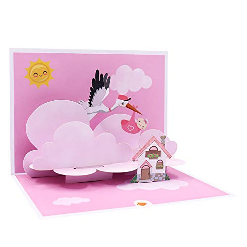 Oritouchpop Baby Shower Card Birthday Card New Baby Card Congratulations Card Pink Its A Girl Announcement Card Stork Party Gift for Baby Girl-Girl Special Delivery