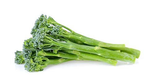Fall Broccoli Raab Seeds - Rapini and Brassica Rapa VAR Ruvo Seeds