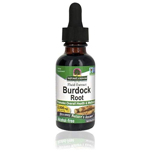 Natures Answer Burdock Root  Herbal Supplement  Promotes Overall Health   Wellbeing  Alcohol-Free   Gluten-Free 1oz