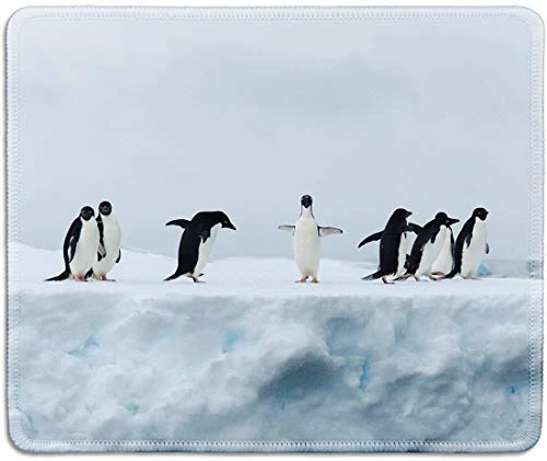 dealzEpic - Art Mousepad - Natural Rubber Mouse Pad Printed with Penguins on Iceberg - Stitched Edges - 9_5x7_9 inches