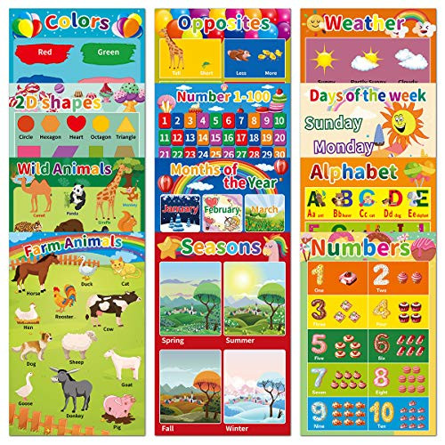 12Pack Laminated Educational Posters for Preschool Kids Toddlers ...