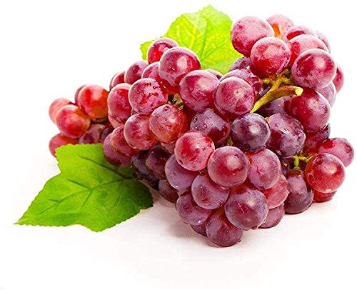 Fruit Grape Seeds 20Pack Kyoho Grape Seeds BlackRedGreen Mention Child Delicious Nutritious Sweet Natural Snack Organic Seeds for Planting Garden Courtyard Red Grape Seeds