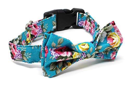 BCB Wear Dog and Cat Cotton Collar with Bow Tie - Aqua Floral - Small