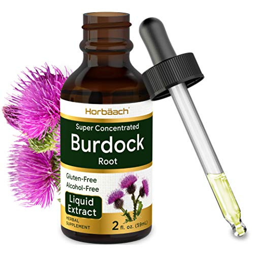 Burdock Root Tincture  2 fl oz  Alcohol Free  Vegetarian Non-GMO   Gluten Free Liquid Extract  by Horbaach