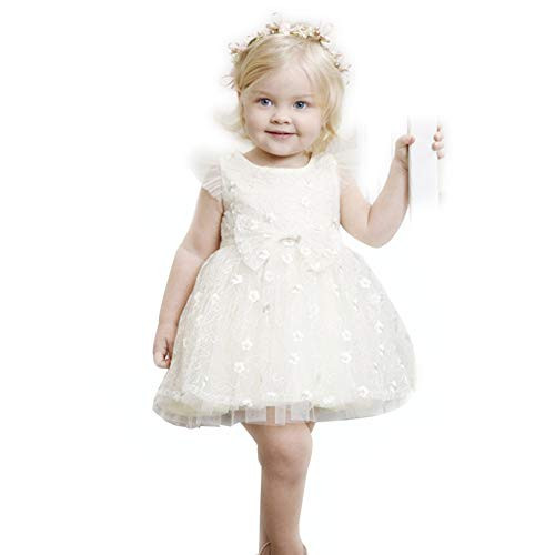 Warm Day Girls Tulle Flower Princess Kids Wedding Dress 3D Flower Bowknot Sleeveless Tutu Dress for 4 Year Toddler and Baby Girl