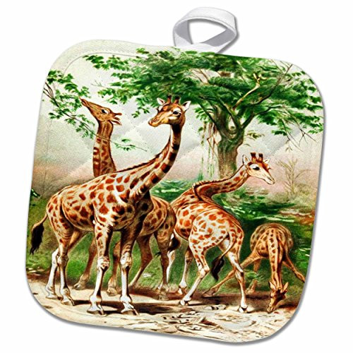 3D Rose Old Painting of Giraffes Pot Holder, 8" x 8"