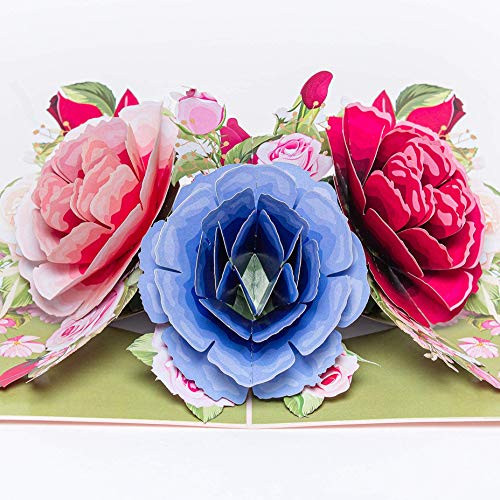 Pop Up Greeting Card Rose Flower- 3D Cards For Birthday Anniversary Mothers Day Thank You Cards Card for Mom Congratulation Card Love Card All Occasion