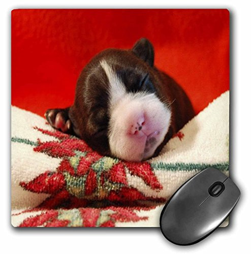 3dRose LLC 8 x 8 x 0_25 Inches Puppy Sleeps So Cute Pattern Mouse Pad mp-49354-1