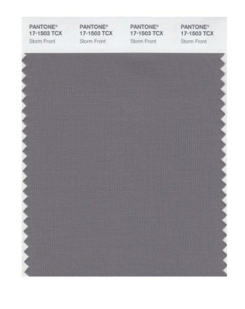 Pantone 17-1503 TCX Smart Color Swatch Card, Storm Front