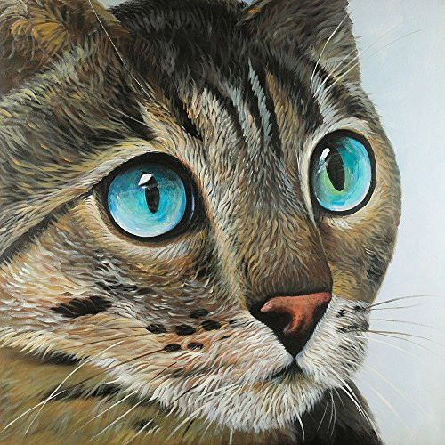 Posterazzi Collection Curious Cat Portrait Poster Print by Atelier B Art Studio 12 x 12
