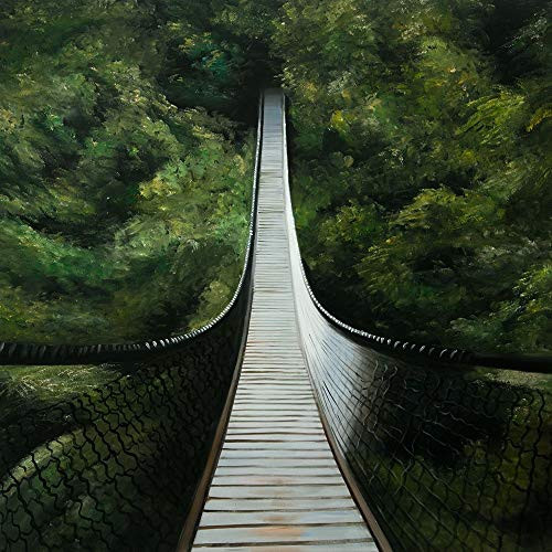 Posterazzi Collection Suspended Bridge in The Forest Poster Print by Atelier B Art Studio 12 x 12