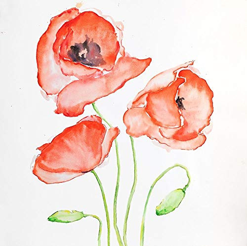Posterazzi Collection Watercolor Poppies Poster Print by Atelier B Art Studio 12 x 12