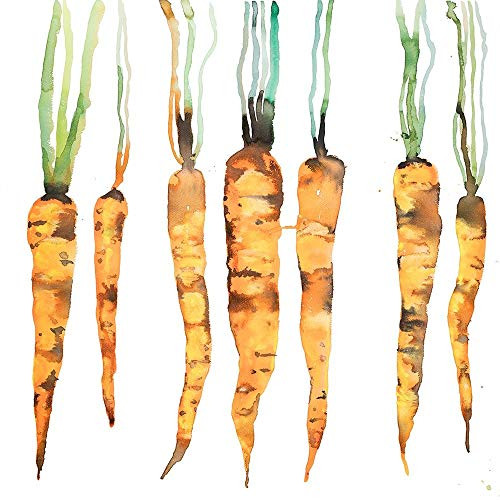 Posterazzi Collection Freshly Picked Carrots Poster Print by Atelier B Art Studio 12 x 12