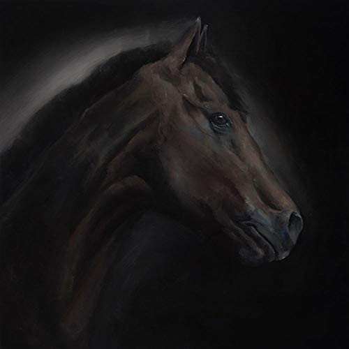 Posterazzi Collection Solitude Poster Print by Atelier B Art Studio 12 x 12