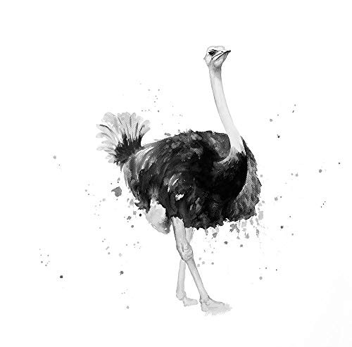Posterazzi Collection Proud Ostrich Poster Print by Atelier B Art Studio 12 x 12