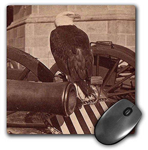 3dRose LLC 8 x 8 x 0.25 Inches Bob War Eagle, Sepia tone Mouse Pad (mp_6733_1)