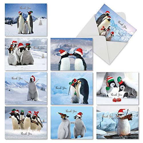 10 Penguins and Greetings Thank You Christmas Cards Cute Penguin Family Gratitude Holiday Cards 4 x 5_12 inch Winter Birds Holiday Notes Fun Penguin Seasons Greetings Cards M2951XTG-B1x10