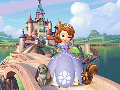 AMAILY Diamond Painting Kits for Adults - 5D Diamond Art Kits with Painting by Number Kits for Beginners - Great Decor for HomeLiving RoomOfficeKitchenShop Sophia 15_711_8Inch