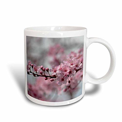 3dRose mug_192735_1 Pink Cherry Blossom Floral - Ceramic Mug, 11-ounce 3dRose mug_192735_1 Pink Cherry Blossom Floral - Ceramic Mug, 11-ounce