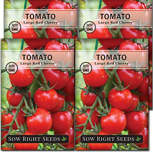 Sow Right Seeds - Large Red Cherry Tomato Seed for Planting - Non-GMO Heirloom Packet with Instructions to Plant a Home Vegetable Garden - Great Gardening Gift 4