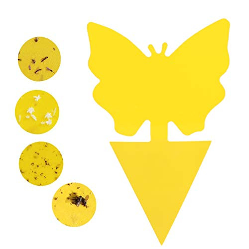 E-BigSales Sticky Trap Fruit Fly and Gnat Trap Yellow Sticky Bug Traps for IndoorOutdoor Use - Insect Catcher for White Flies Mosquitos Fungus Gnats Flying Insects 24 pcs